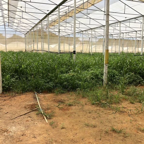 Gübre Yönetim Sistemleri